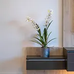 Appartamento Myflat Coral