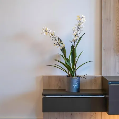 Apartment Myflat Coral